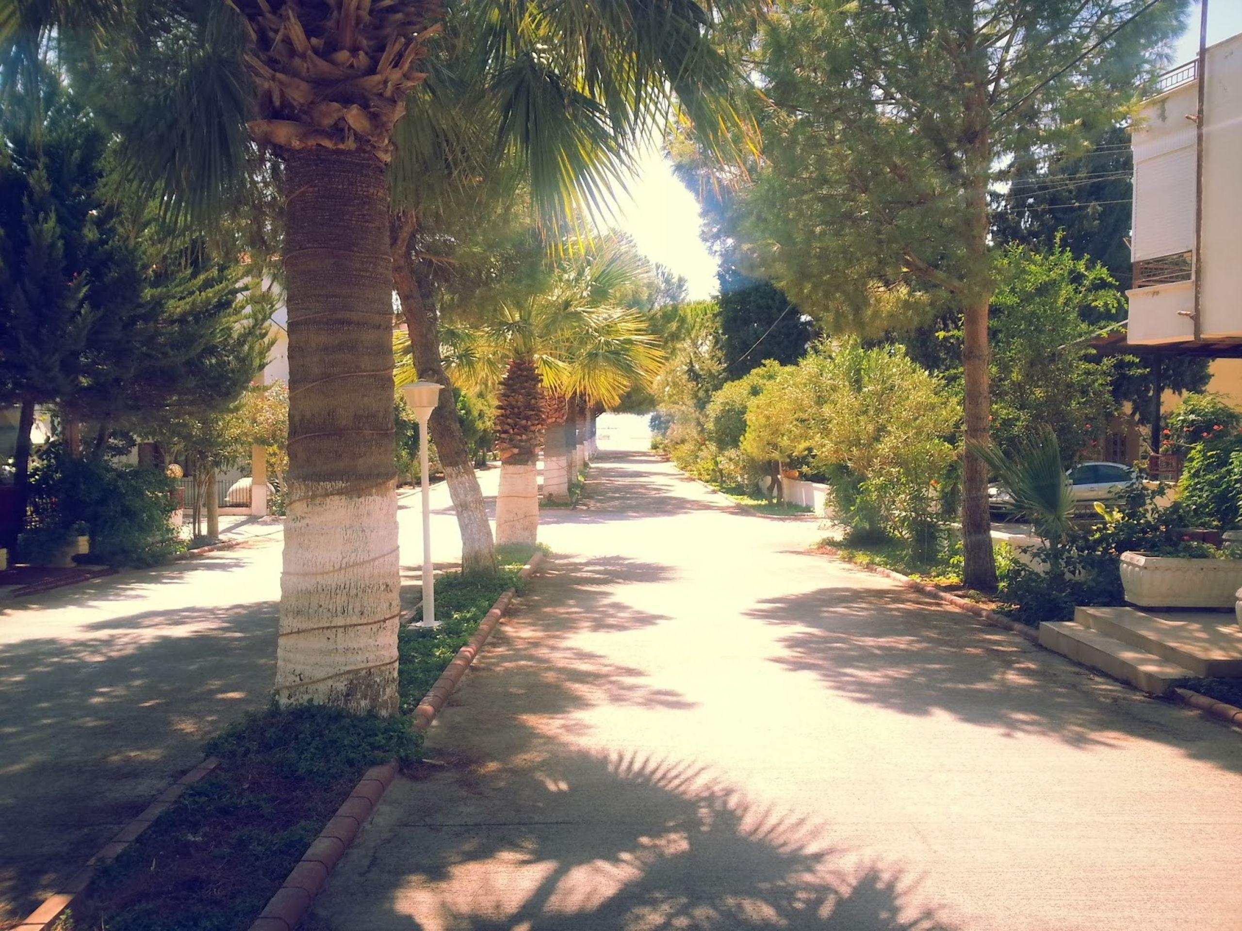 Hotel Fiesta Beach Didim Extérieur photo