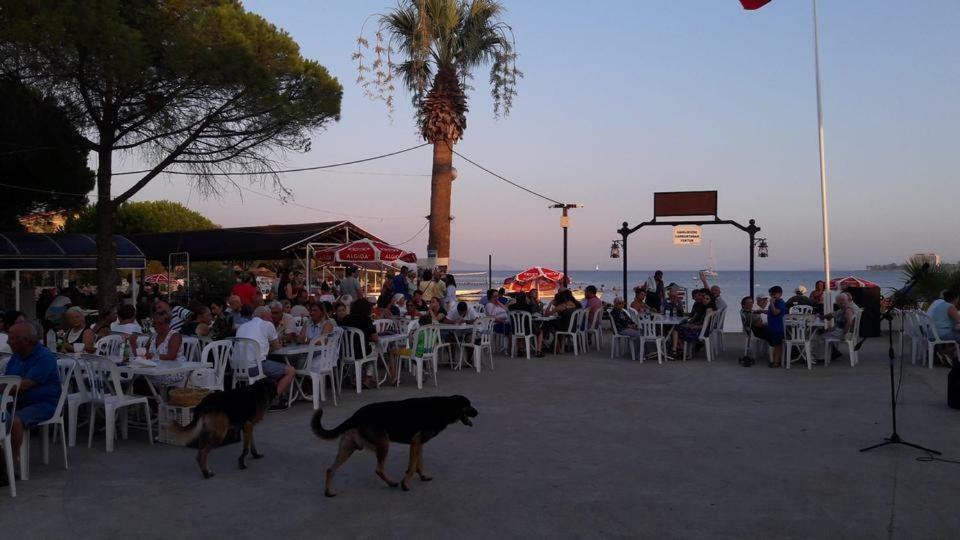 Hotel Fiesta Beach Didim Extérieur photo